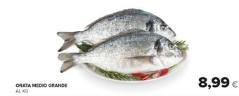 Tigre Orata Medio Grande offerta