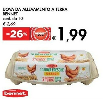 Bennet Bennet Uova Da Allevamento A Terra offerta