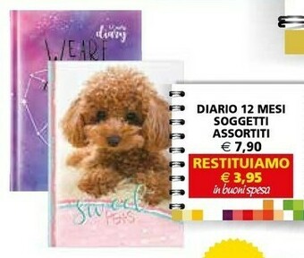 Il Gigante Diario offerta
