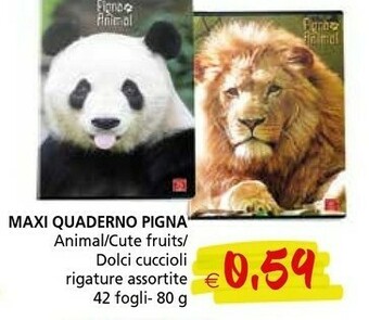 Il Gigante Pigna Quaderno offerta
