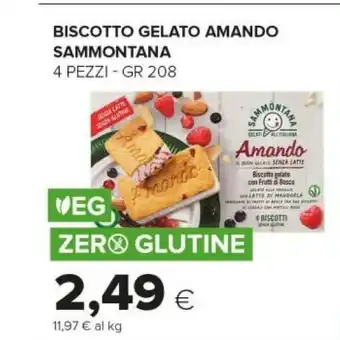 Tigre Sammontana Amando Biscotto Gelato Con Frutti Di Bosco 208 G(ml) offerta