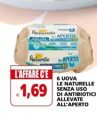 6 uova le naturelle senza uso di antibiotici allevate all'aperto