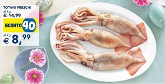 Esselunga Totani Freschi offerta