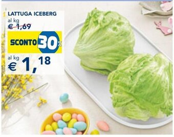 Lattuga Iceberg