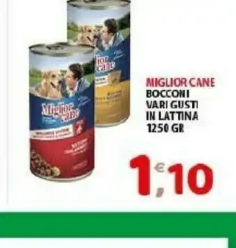 Miglior Cane Bocconi Vari Gusti In Lattina