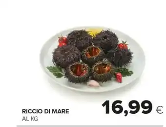 Tigre Riccio Di Mare offerta
