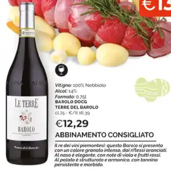 Mercatò Barolo DOCG Terre Del Barolo offerta