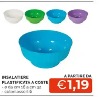 Insalatiere Plastificata A Coste