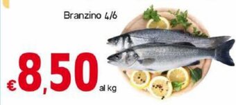 Kanguro Branzino 4/6 offerta