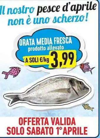 Conad Orata Media Fresca prodotto allevato offerta