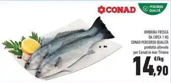 Conad Ombrina Fresca Da Circa 1 kg offerta