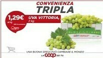 Coop Uva offerta