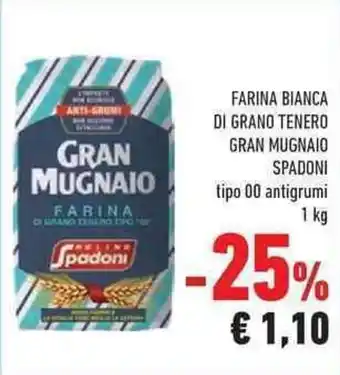 Conad Gran Mugnaio Spadoni Farina Bianca di Grana Tenero 1 kg offerta