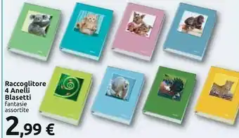 Carrefour Blasetti Raccoglitore 4 Anelli offerta