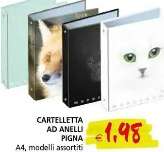 Il Gigante Pigna Cartelletta Ad Anelli offerta