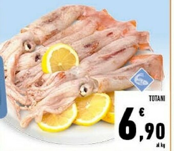 Conad Totani offerta