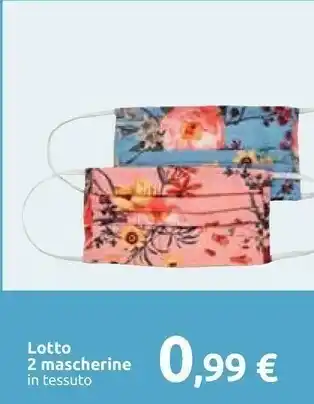 Carrefour Lotto 2 Mascherine In Tessuto offerta
