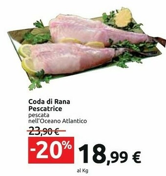 Carrefour Coda Di Rana Pescatrice offerta