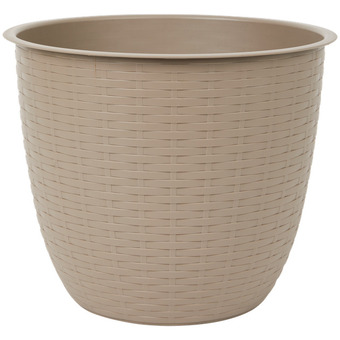 Action Vaso dijon offerta
