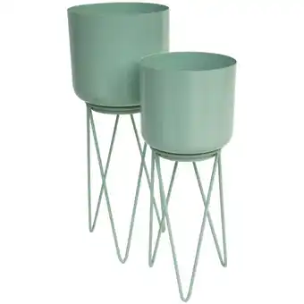 Action Pianta in vaso su supporto offerta
