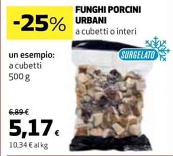 Coop Funghi Porcini Urbani 500 g offerta