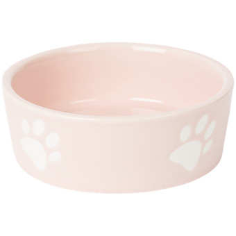 Action Ciotola offerta