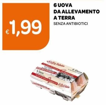 Ekom 6 Uova da Allevamento a Terra Senza Antibiotici offerta