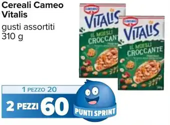 Carrefour Cameo Vitalis Cereali 310 g offerta