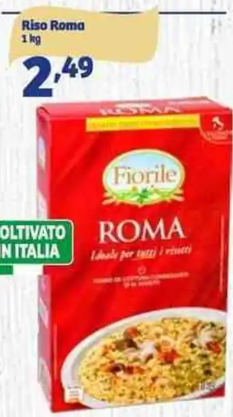 In'S Mercato Fiorile Riso Roma 1 kg offerta