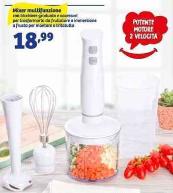 Mixer Multifunzione