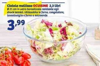 Ocuisine Ciotola Multiuso 2,3 Litri