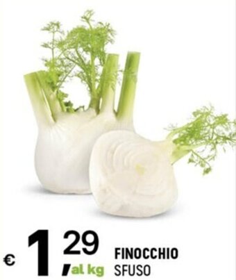 Finocchio Sfuso