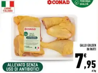 Conad Superstore Gallo Golden In Parti offerta