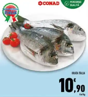Conad Superstore Orata Itallia offerta