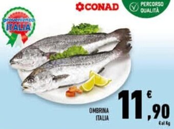 Conad Superstore Ombrina Italia offerta