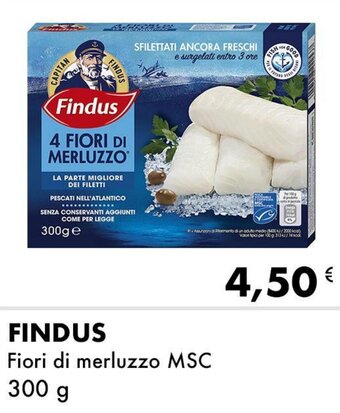 Iper Tosano Findus Fiori di merluzzo MSC 300 g offerta