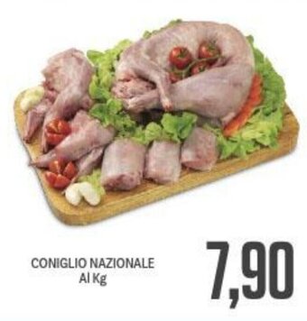 Coniglio Nazionale