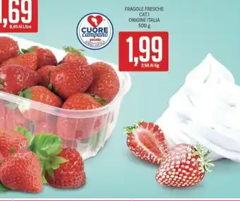 Fragole Fresche 500 g