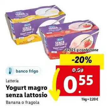 Lidl Latteria Yogurt magro senza lattosio 2 x 125 g confezione offerta