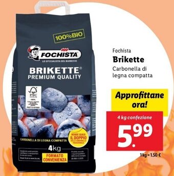 Fochista Brikette Carbonella di Legna Compatta 4 kg confezione