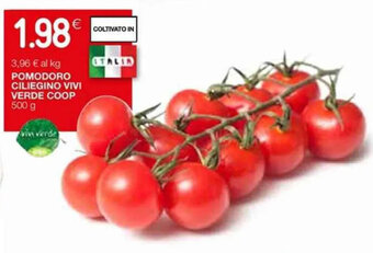 Coop Voop Vivi Verde Pomodoro Ciliegino 500 g offerta