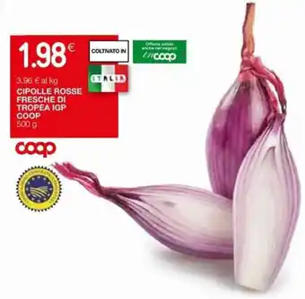 Coop Cipolle Rosse Fresche di Tropea IGP 500 g