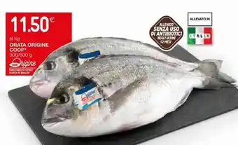 Coop Coop Origine Orata 300/600 g offerta