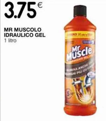 Coop Mr Muscolo Idraulico Gel 1 Litro offerta