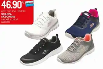 Skechers Scarpa