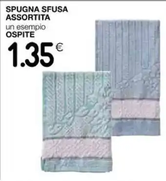 Coop Spugna Sfusa Assortita offerta