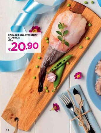 Bennet Coda di Rana Pescatrice Atlantica offerta