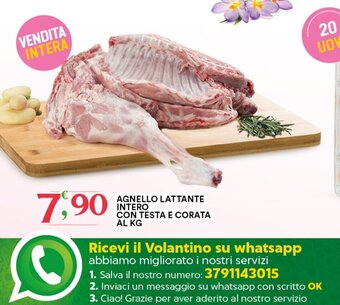 Gecop Agnello Lattante Intero Con Testa E Corata Al Kg offerta