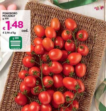 Pomodoro Piccadilly g 500