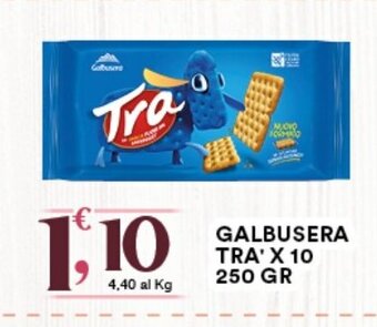 Gecop Galbusera Tra' X 10 250 gr offerta